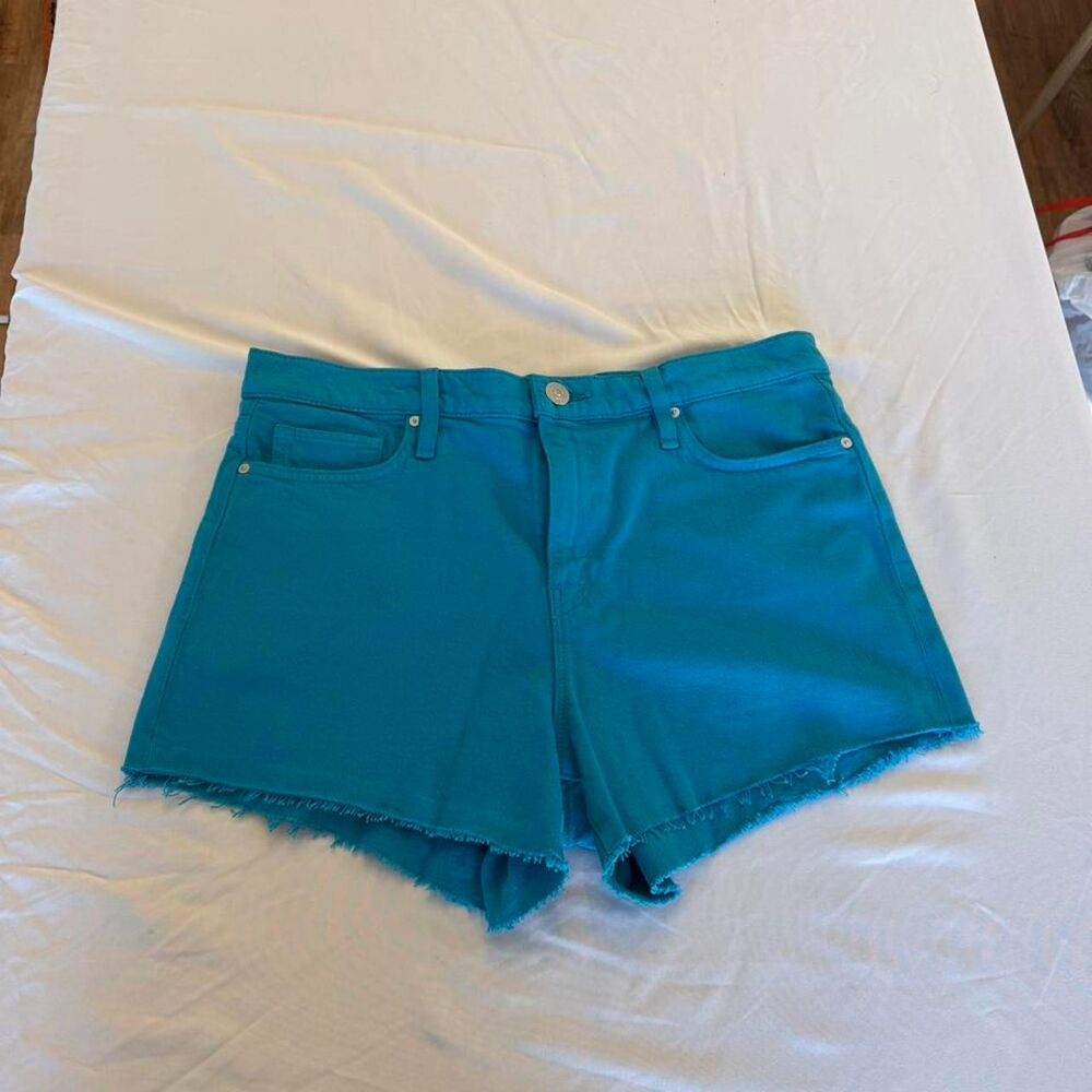 Hudson Women's Blue and Green Shorts